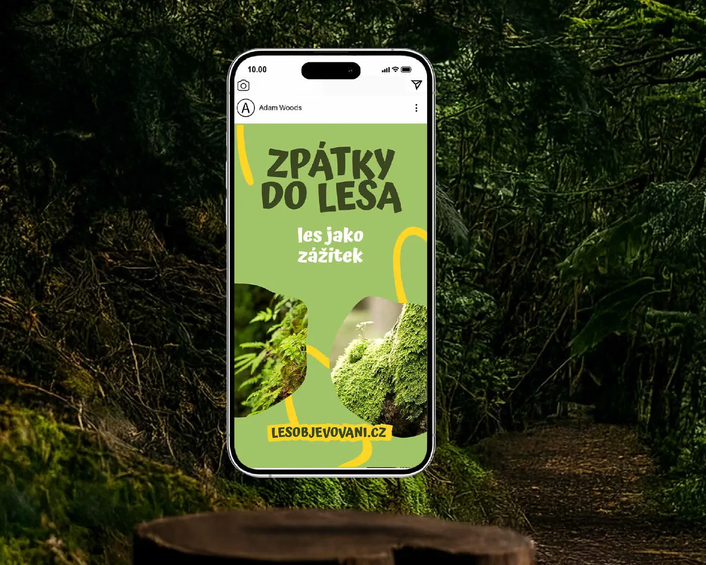Lesobjevování — vizuál 3